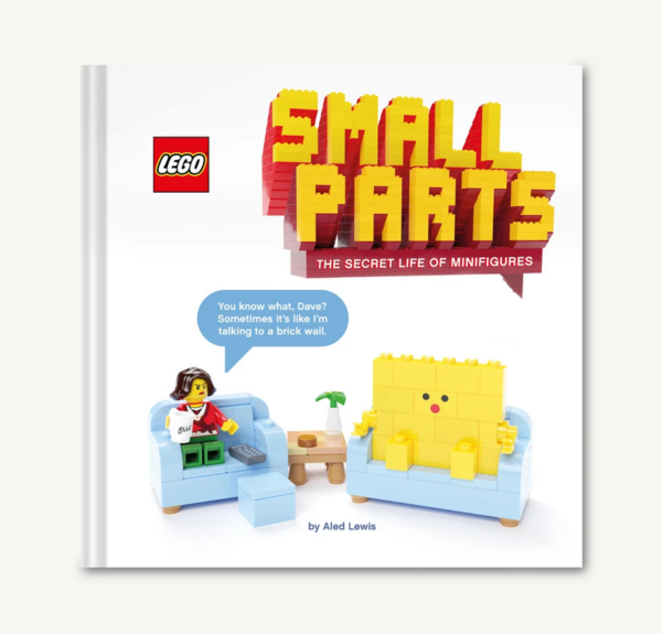 Lego minifigures book